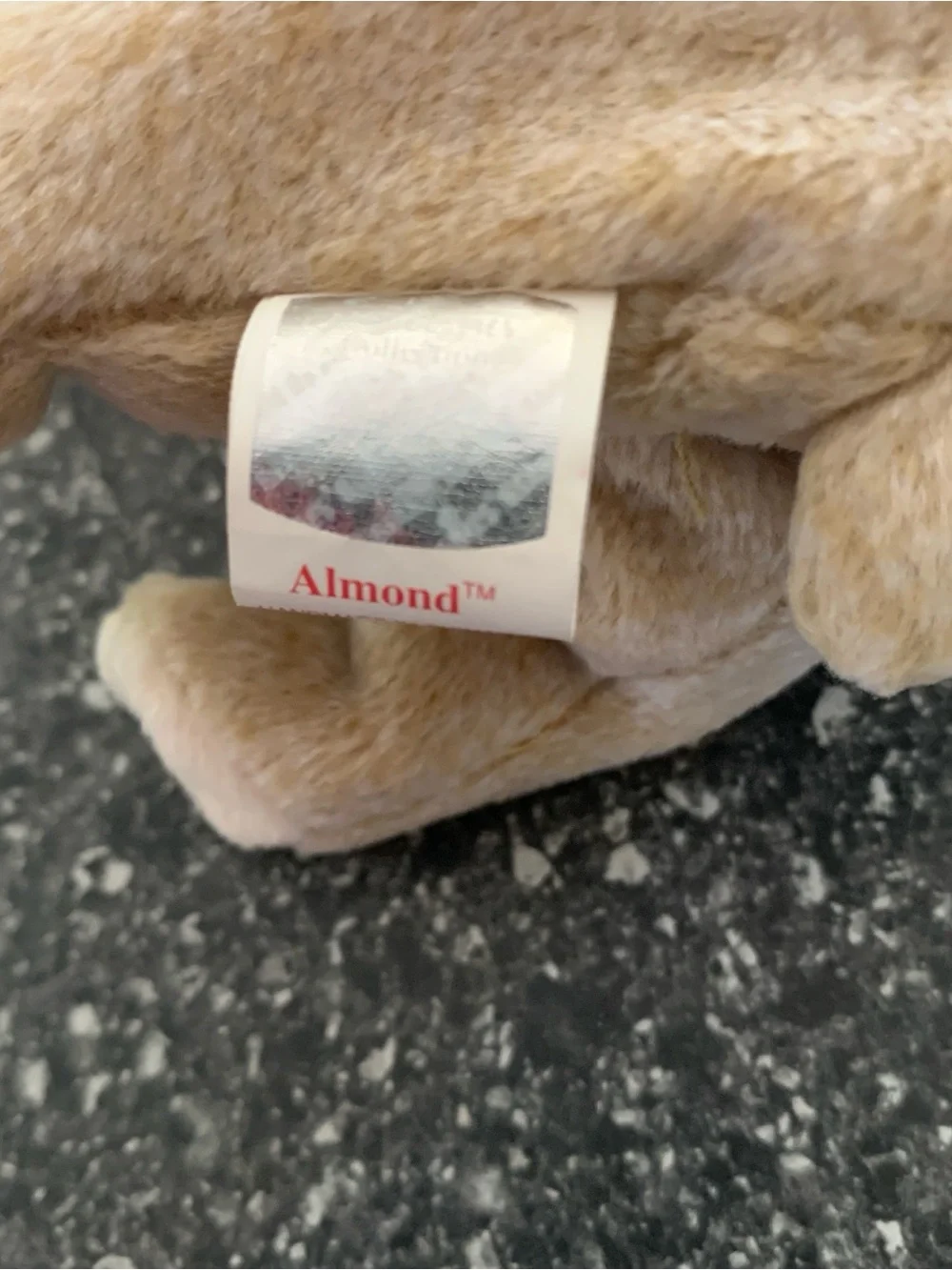 Ty Plush Beanie Baby Almond Bear